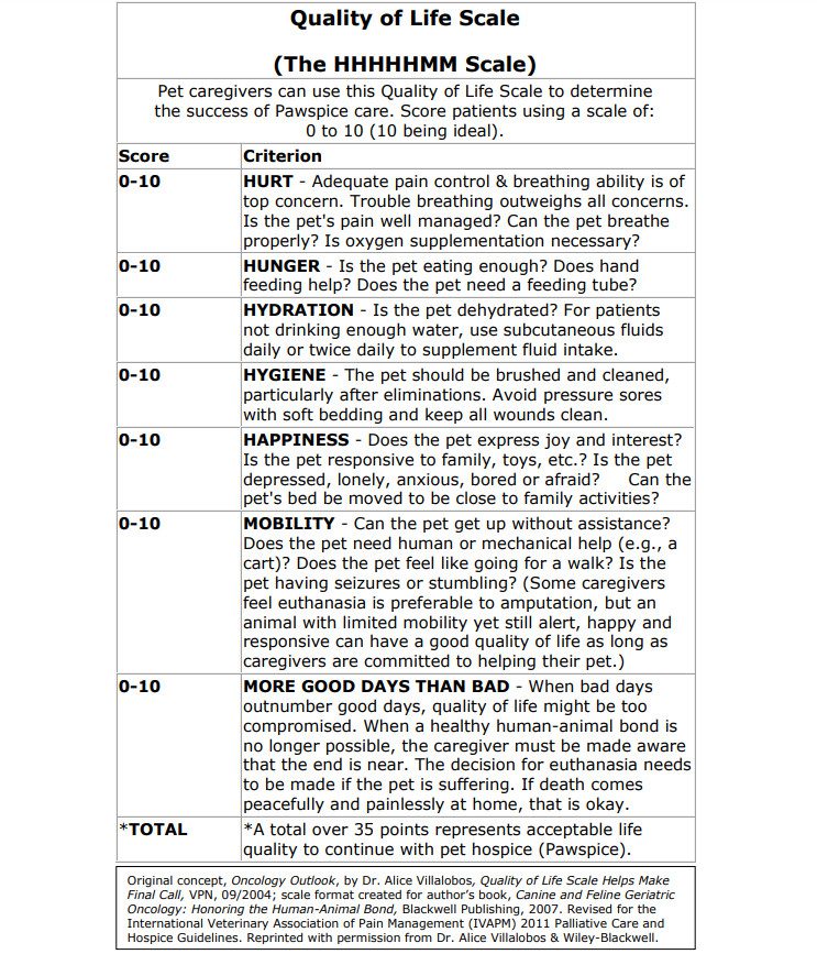 Quality of Life Scale for Pets