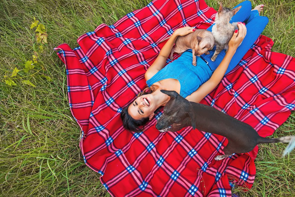 Total Vet Reasons Why Pet Insurance Is Important