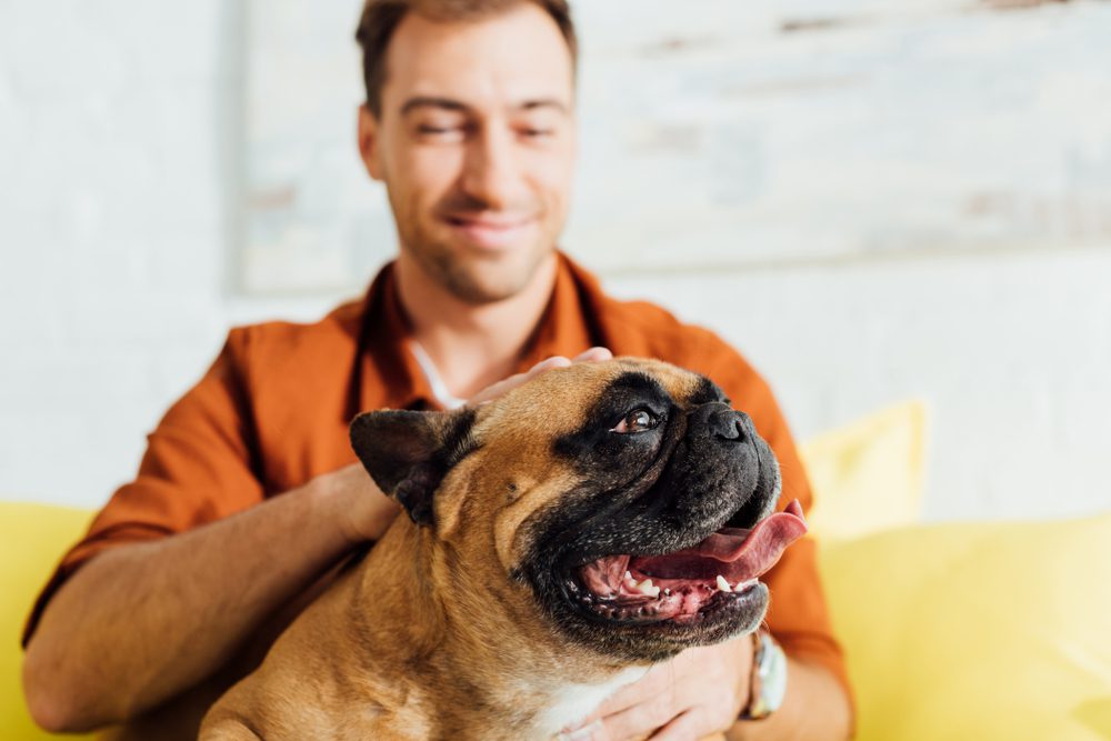 Total Vet Rimadyl Alternatives for Dogs