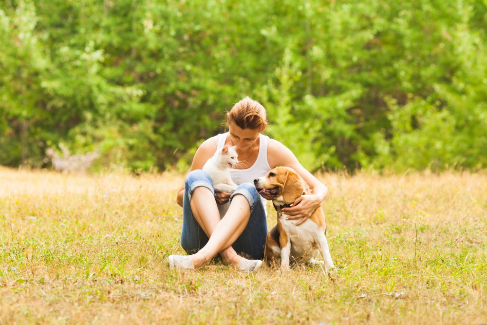 Total Vet Simparica Alternatives for Dogs