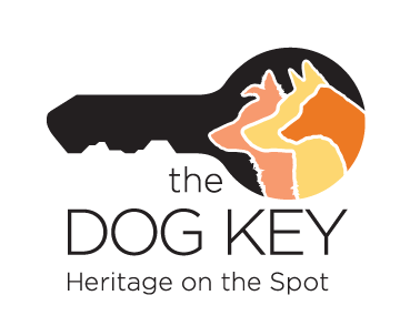 Total Vet the dog key free dna test