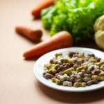 vegan dog food