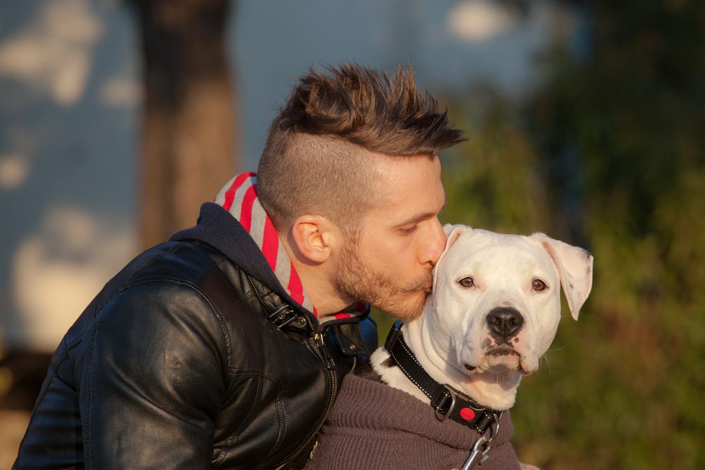 Total Vet What are the Chances of a Dog Surviving Cancer