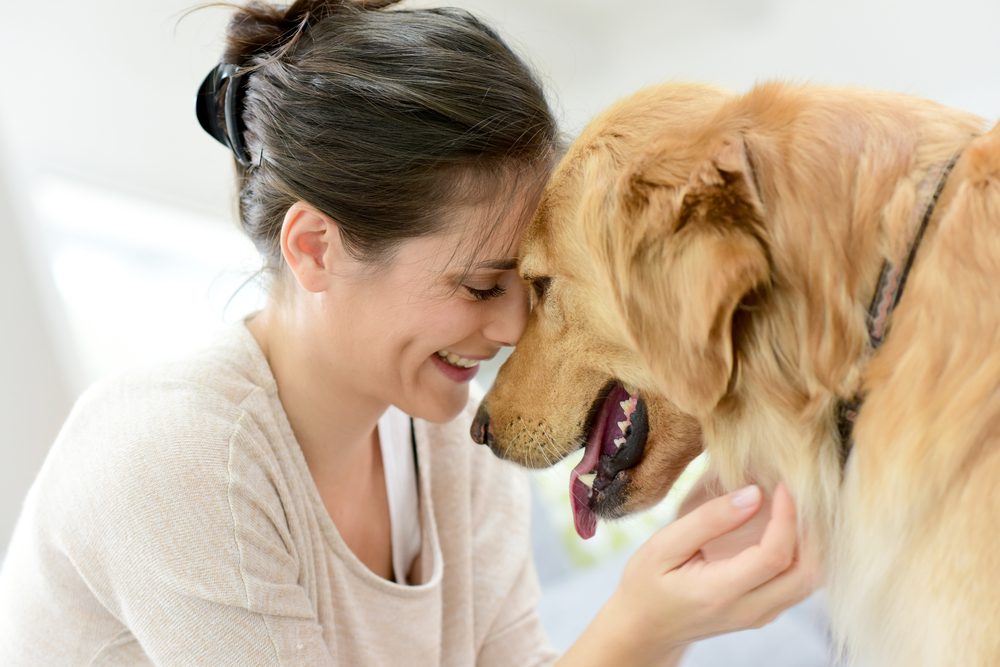 What is the Recovery of Abortion in Dogs