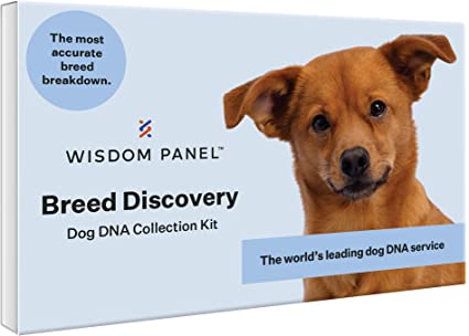 Total Vet Wisdom Panel 30 Canine DNA Test Kit