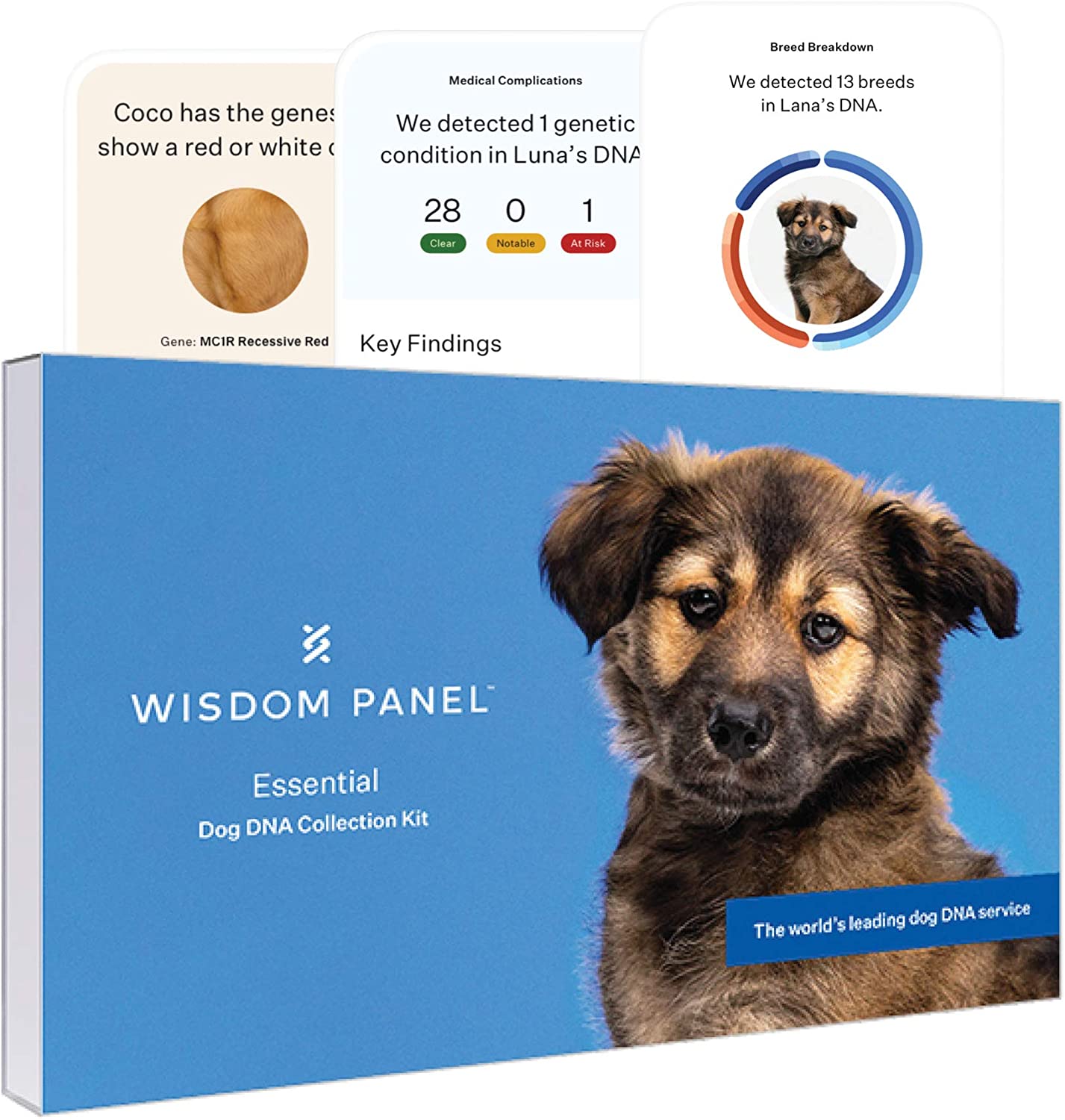BrindleShreddedMemoryFoamDogBedwithRemovableWashableCover Total Vet Wisdom Panel Essential Dog DNA Test