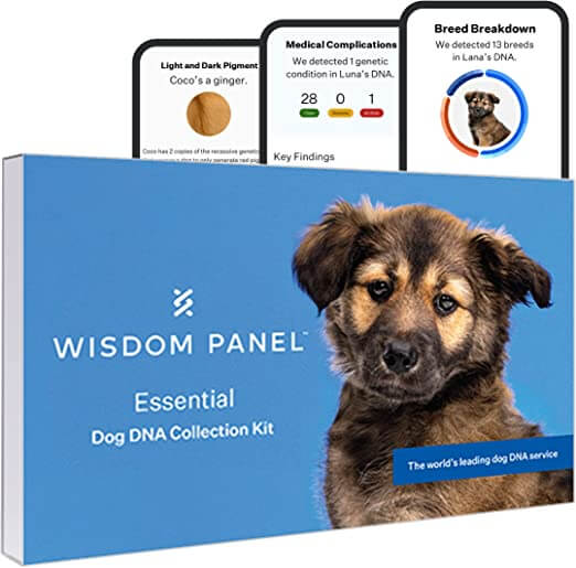 Total Vet Wisdom Panel Essentials Kit