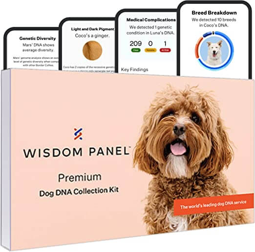 Total Vet Wisdom Panel Premium Kit