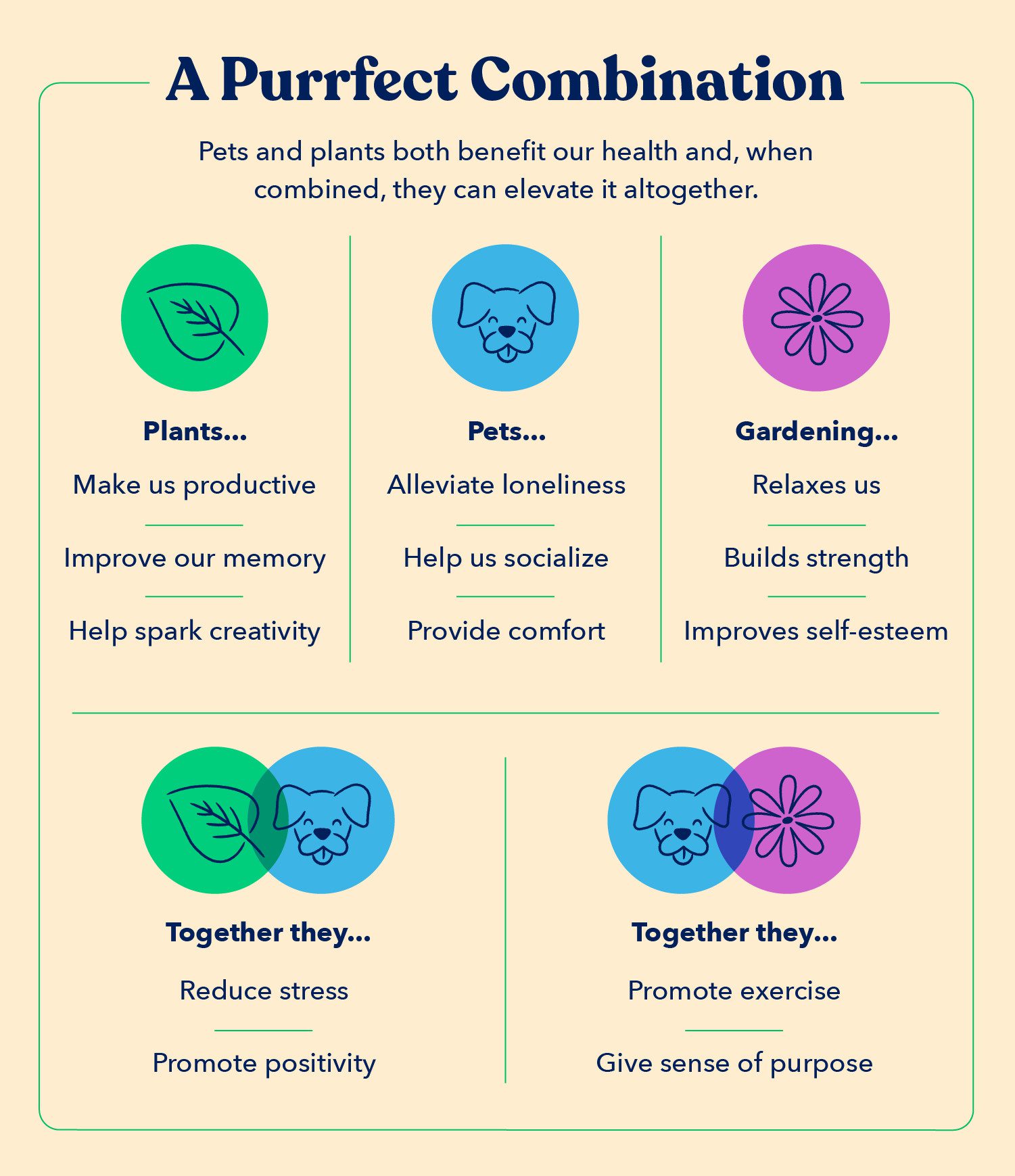 an overview of the human health benefits of owning pets and owning pet-safe plants