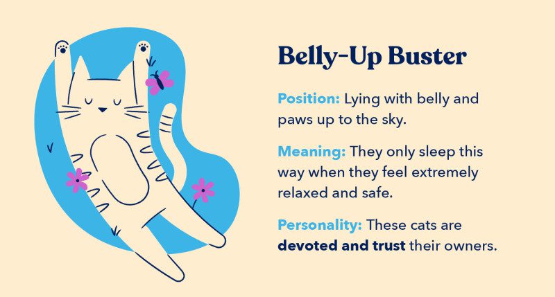 Belly up