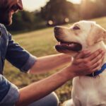 benefits of having a dog