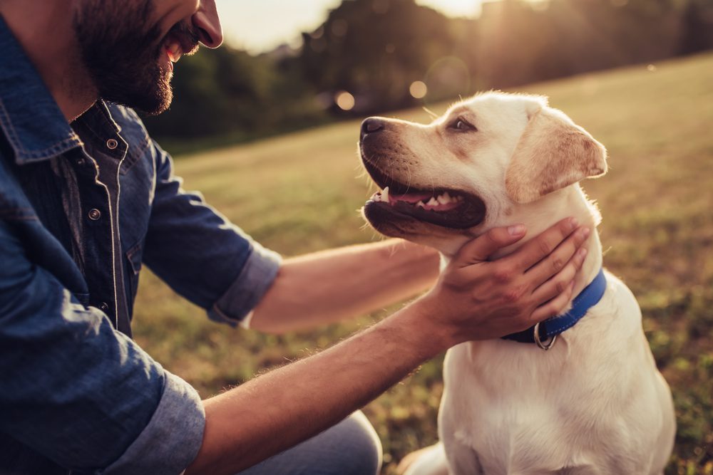 CroppedImageOfHandsomeYoungManWithLabradorOutdoorsMan Total Vet benefits of having a dog