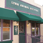 best vets in baltimore