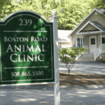 best vets in boston