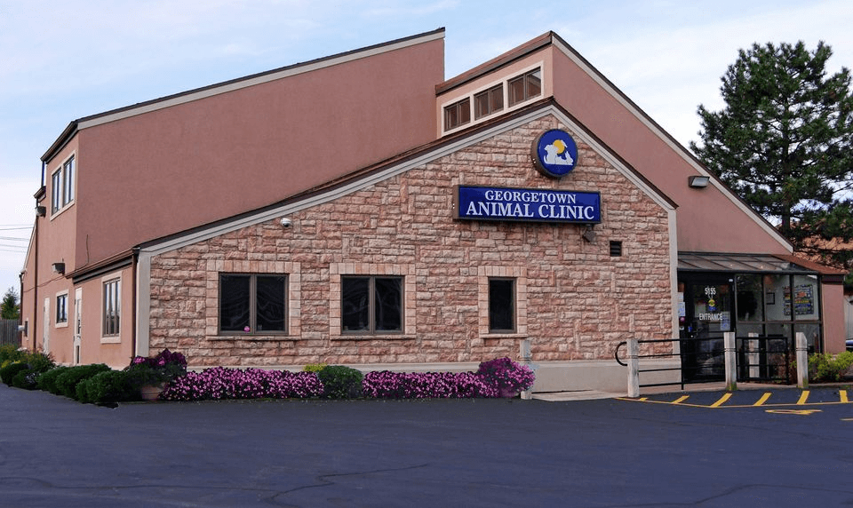 bestvetsinbuffalo Total Vet best vets in buffalo
