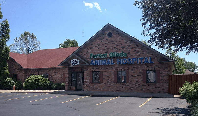 bestvetsindetroit Total Vet best vets in detroit