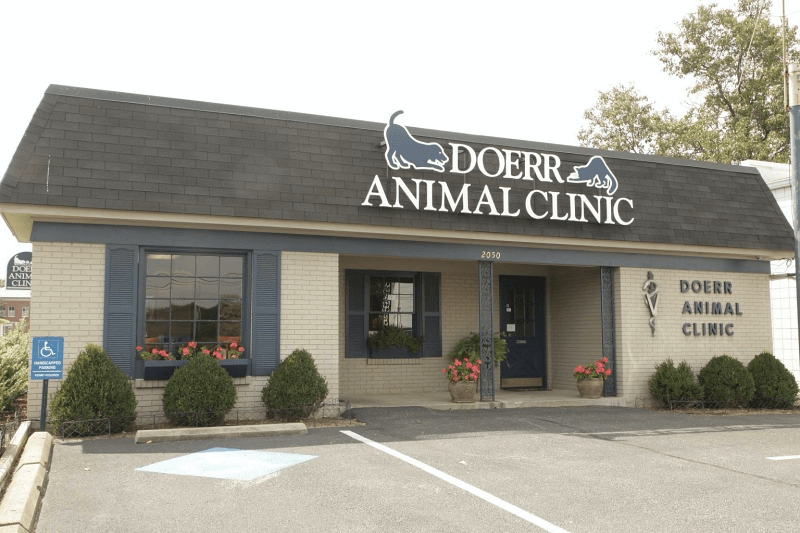 bestvetsinlouisville Total Vet best vets in louisville