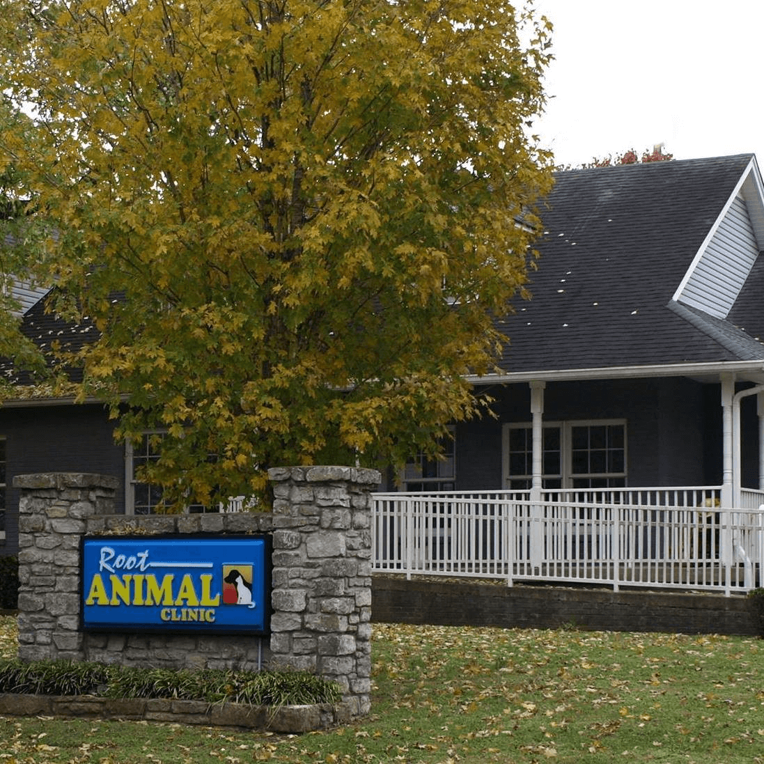 bestvetsinnashville Total Vet best vets in nashville