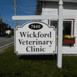 best vets in providence