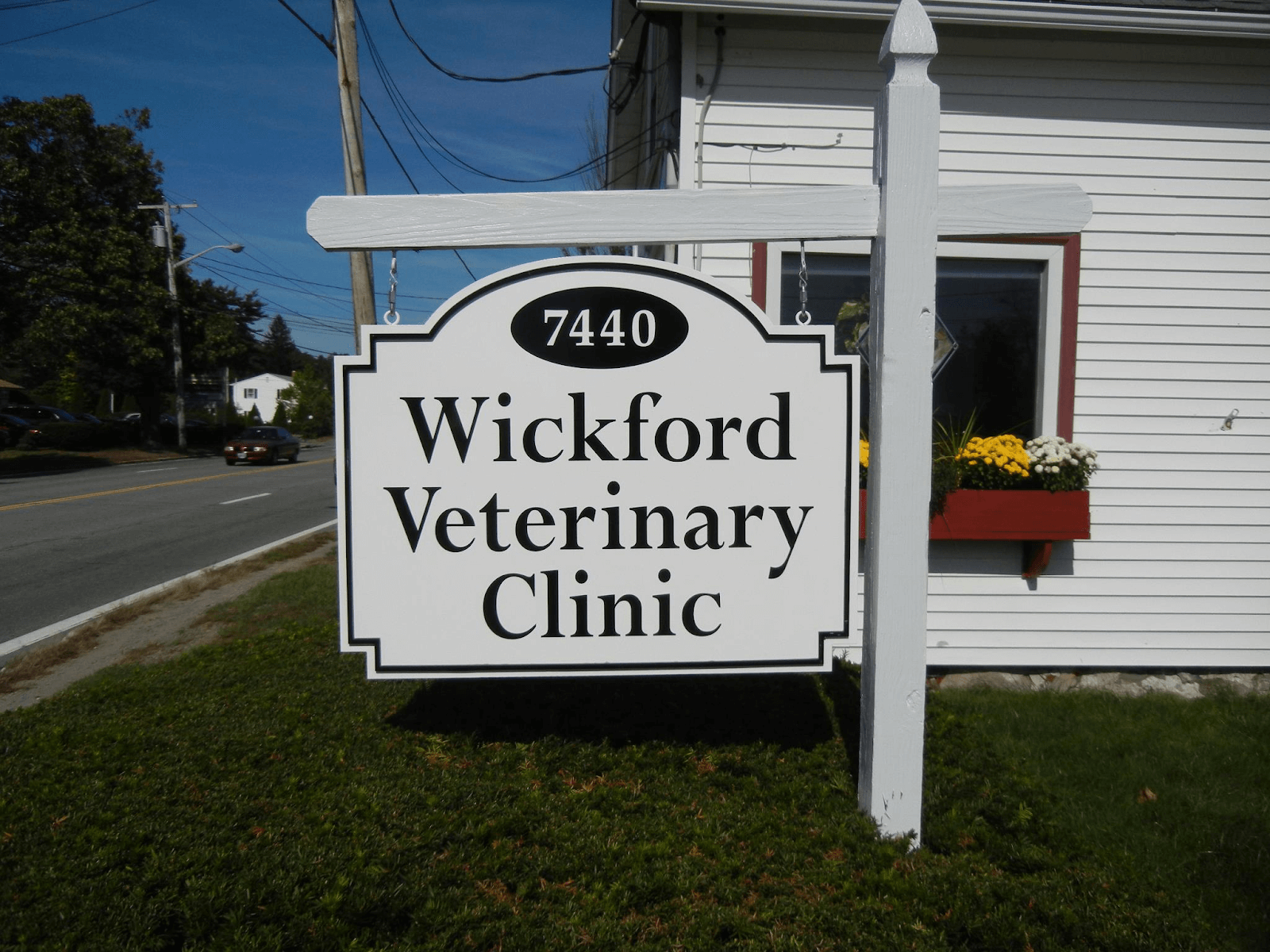 bestvetsinprovidence Total Vet best vets in providence