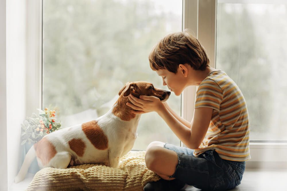 Total Vet caring for your new dog
