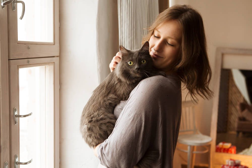 catlady Total Vet cat lady
