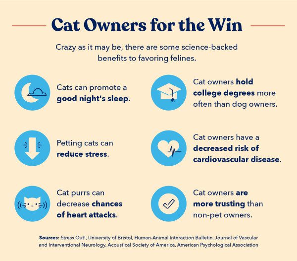 an overview of six ways in which owning cats benefits our health