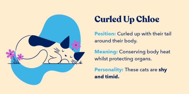 Curled up