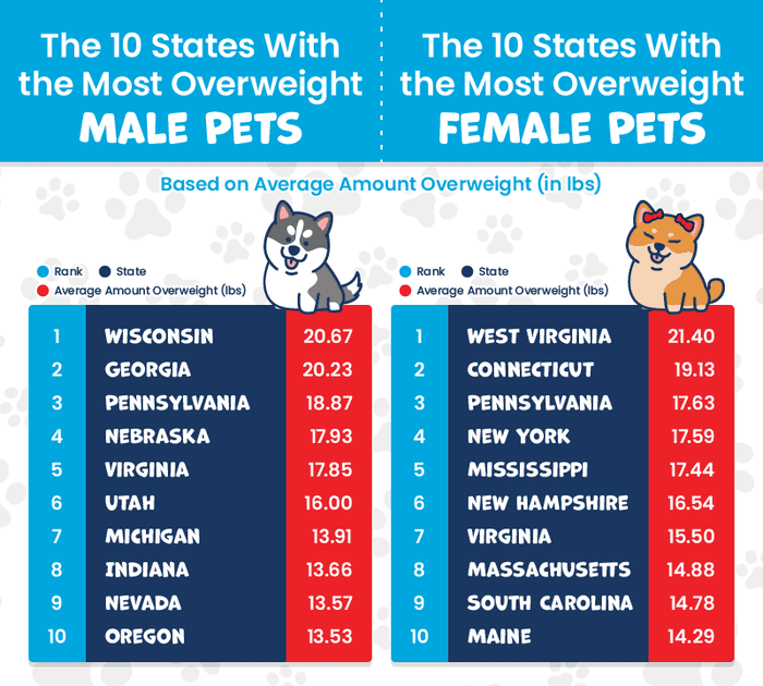Block Imagen Gallery Total Vet charts showing the states with the most overweight male and female pets