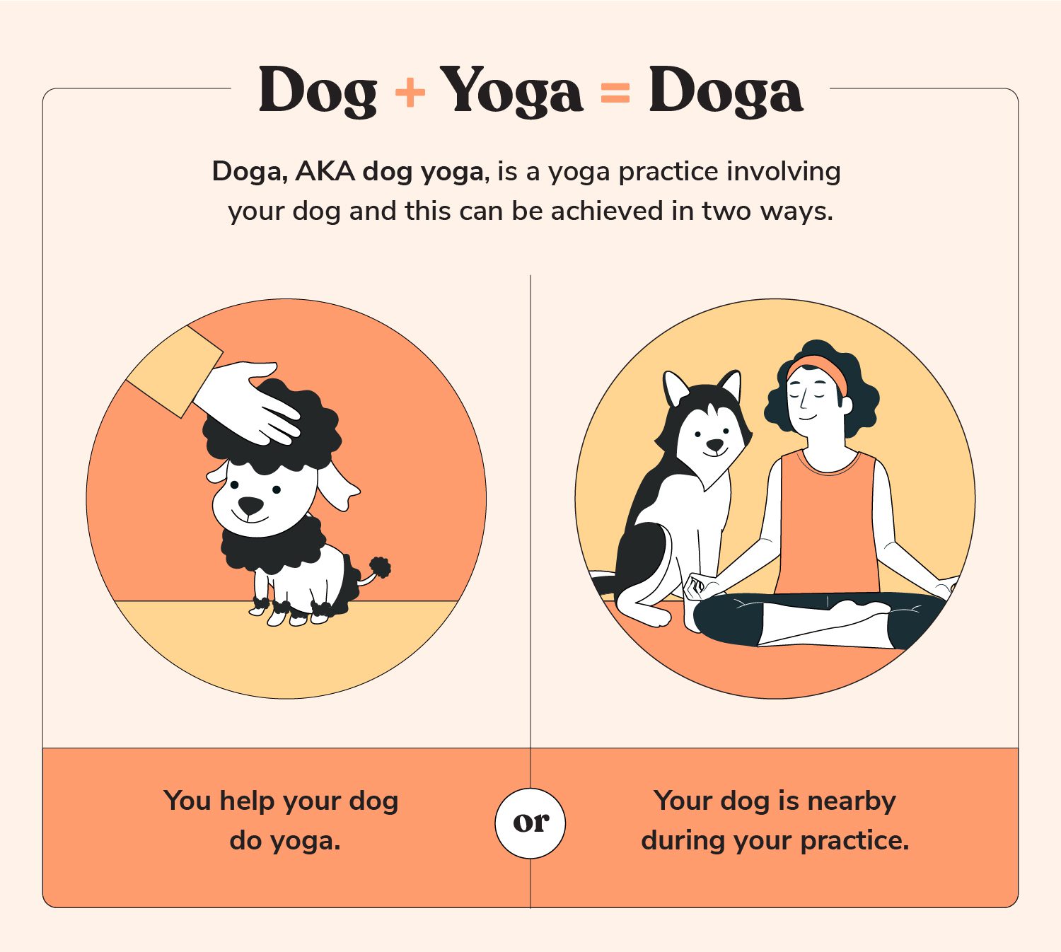 Total Vet dog yoga