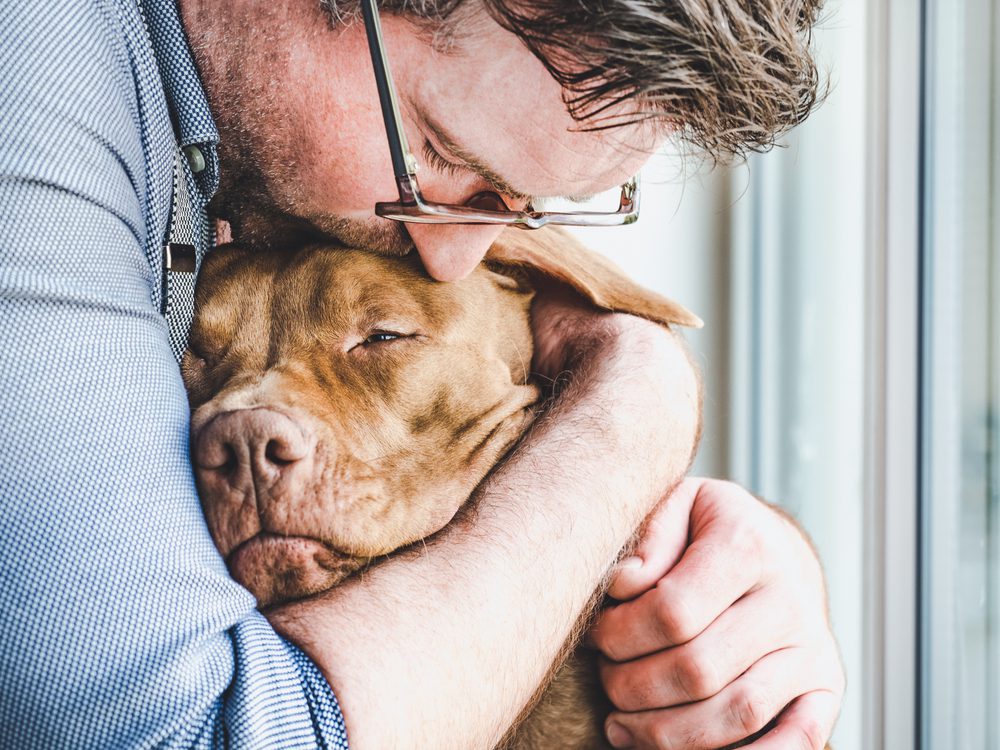 Four Leaf Rover Gut Guard Total Vet gabapentin for pain and anxiety management