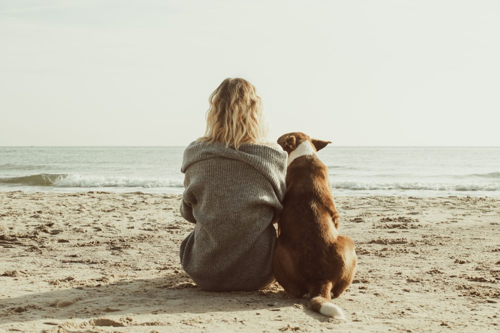 Prf Total Vet giving your dog anti inflammatory drugs