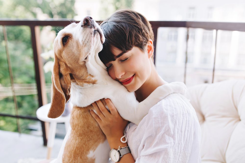 Total Vet giving your dog deramaxx