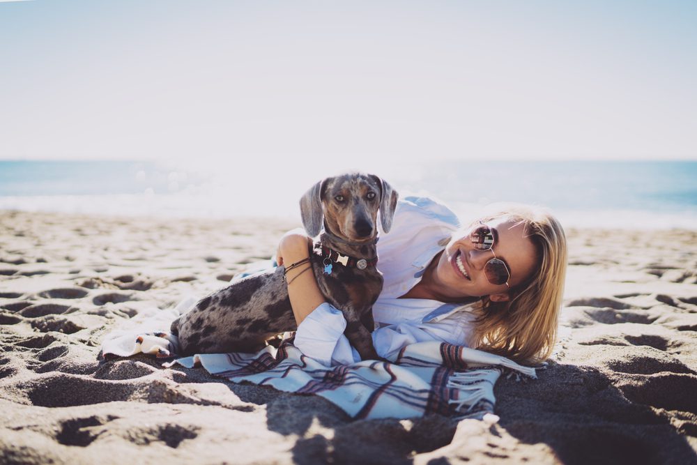 Jdoqocy Total Vet giving your dog neosporin