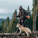hiking with dogs