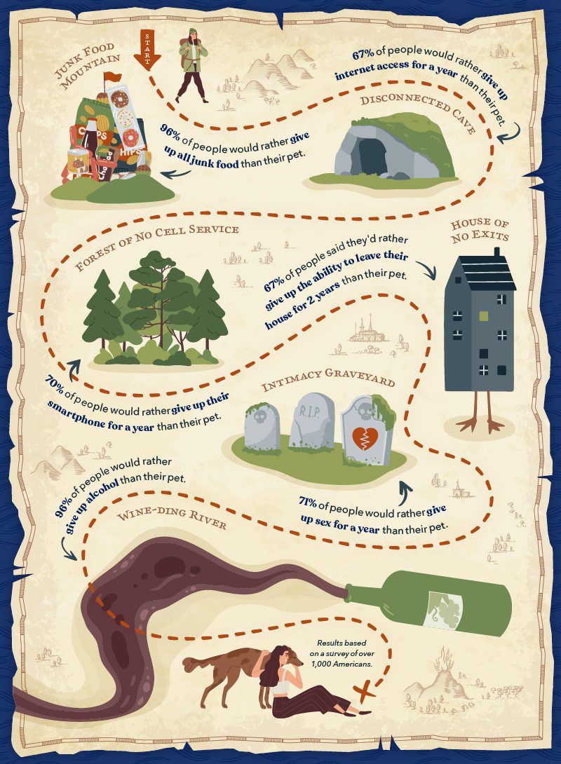 Map depicting the stages one must go through to get to their pet
