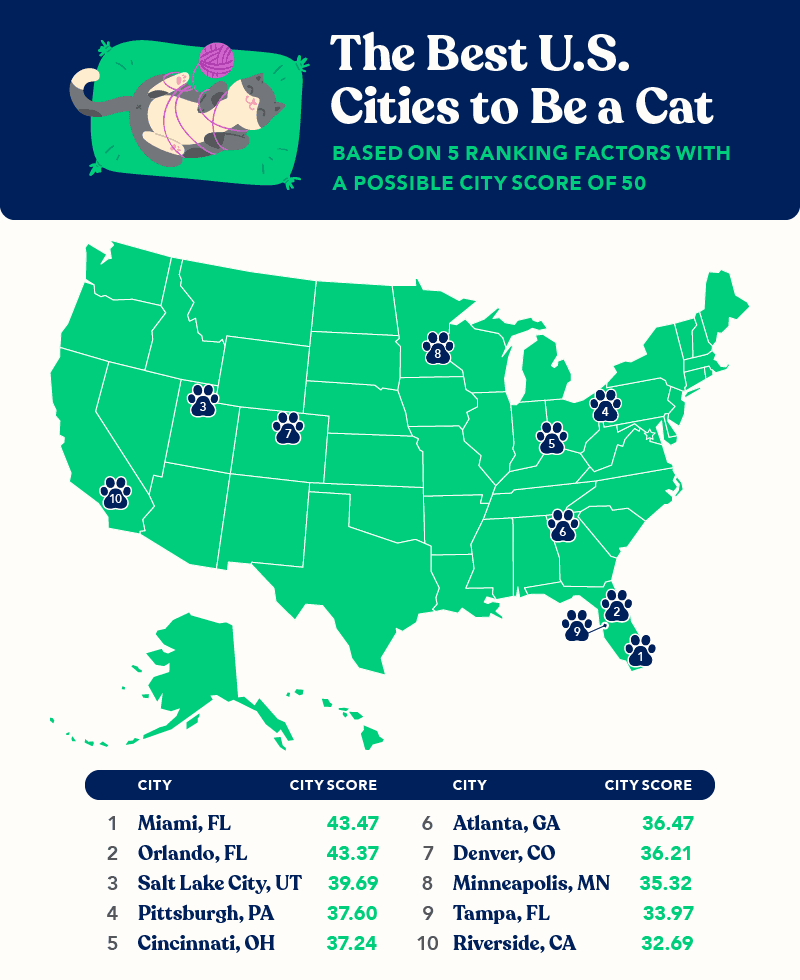 chewylogo Total Vet Map showing the best US cities to be a cat