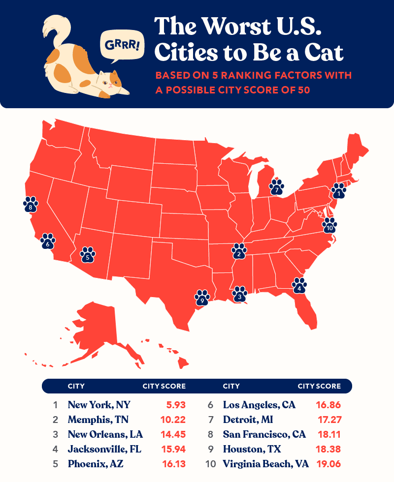 OneVet Total Vet Graphic showing the worst US cities to be a cat