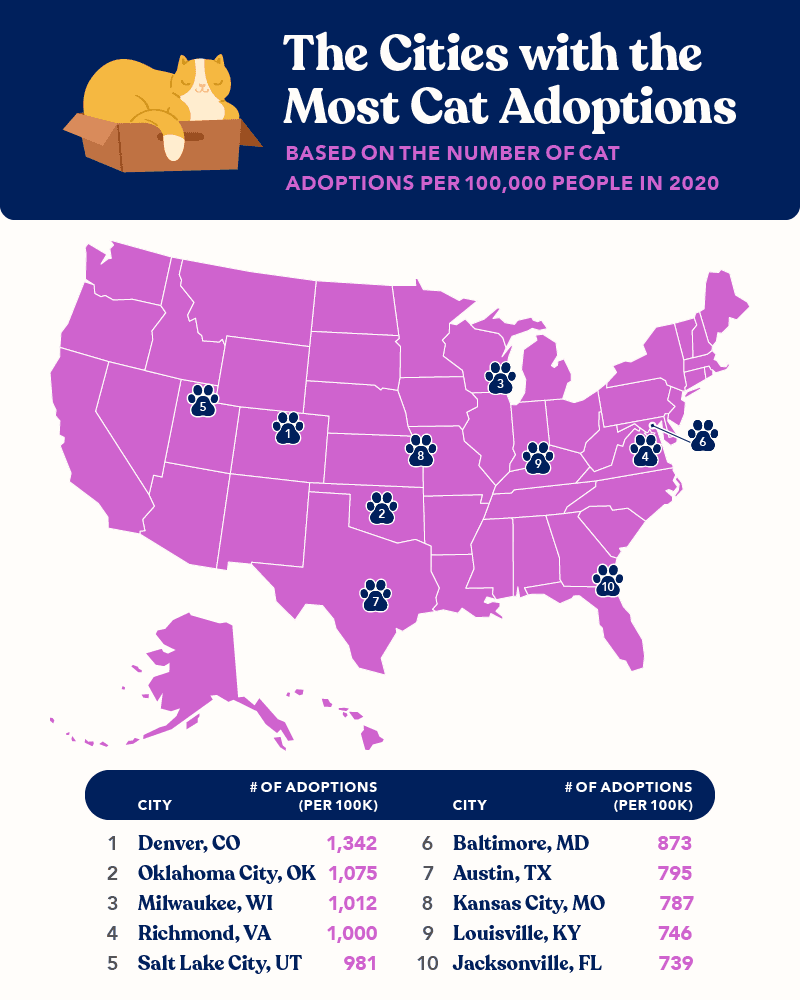 Purina Total Vet Map displaying the US cities with the most cat adoptions