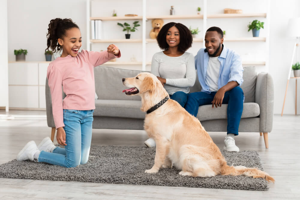 Total Vet how to prepare for a dog and cat introduction