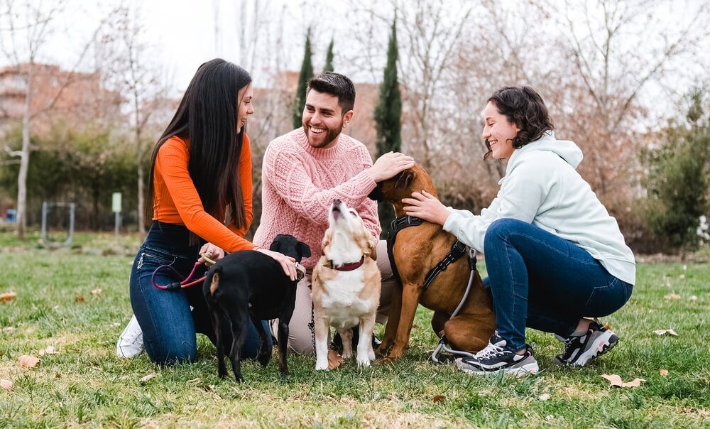 Total Vet how to socialize your dog