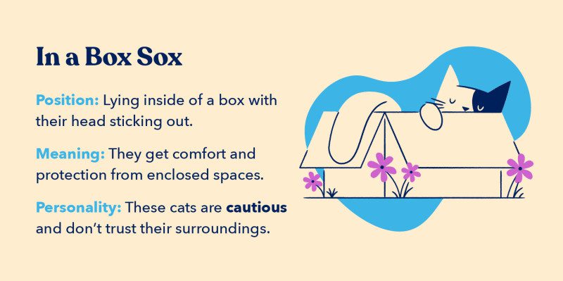 In a box