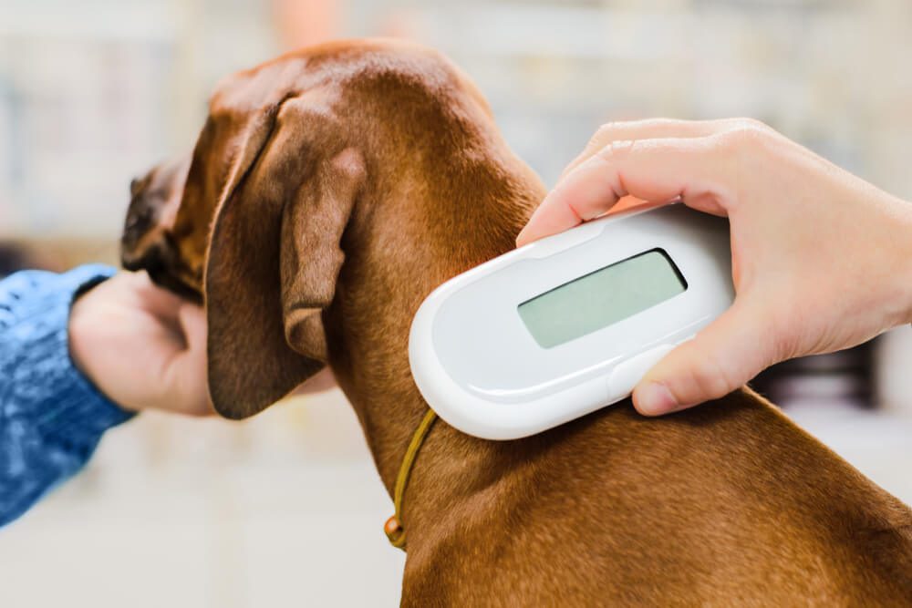 Total Vet keep pets identifiable