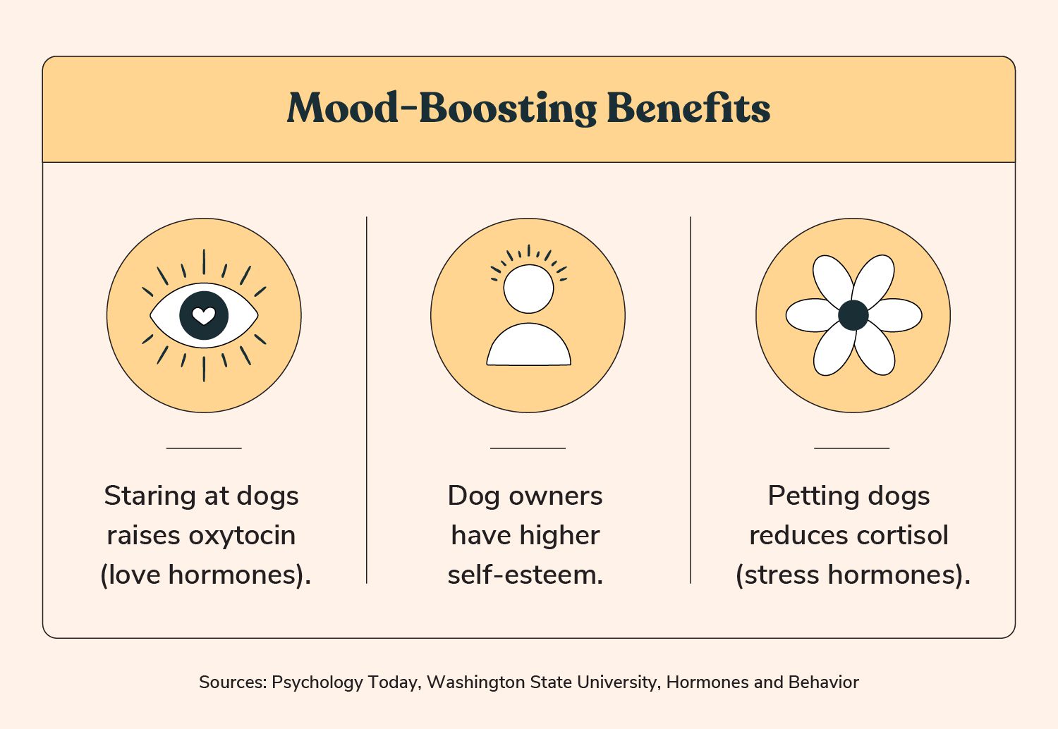 Total Vet mood boosting benefits of having a dog