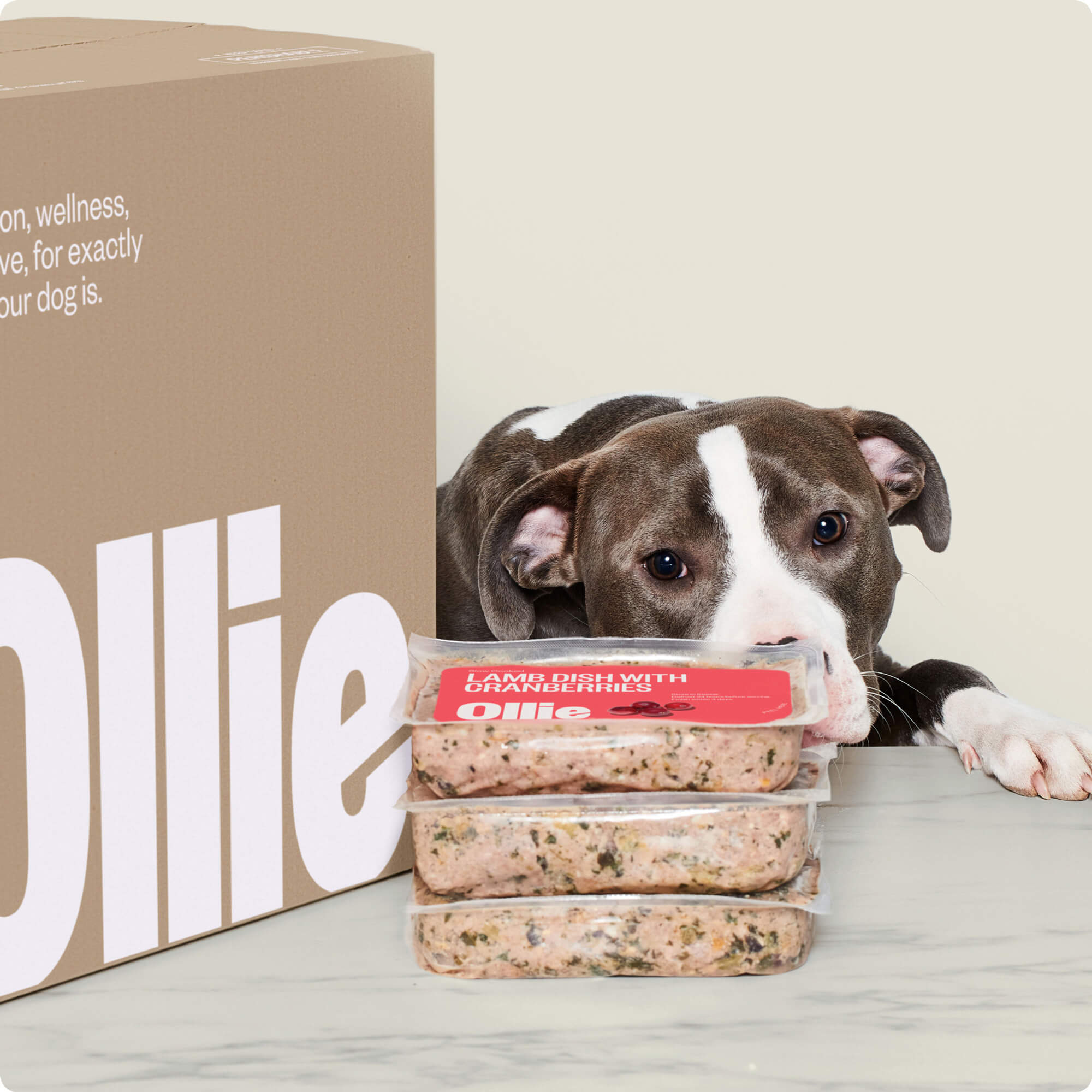 Total Vet ollie dog food