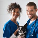 online vet