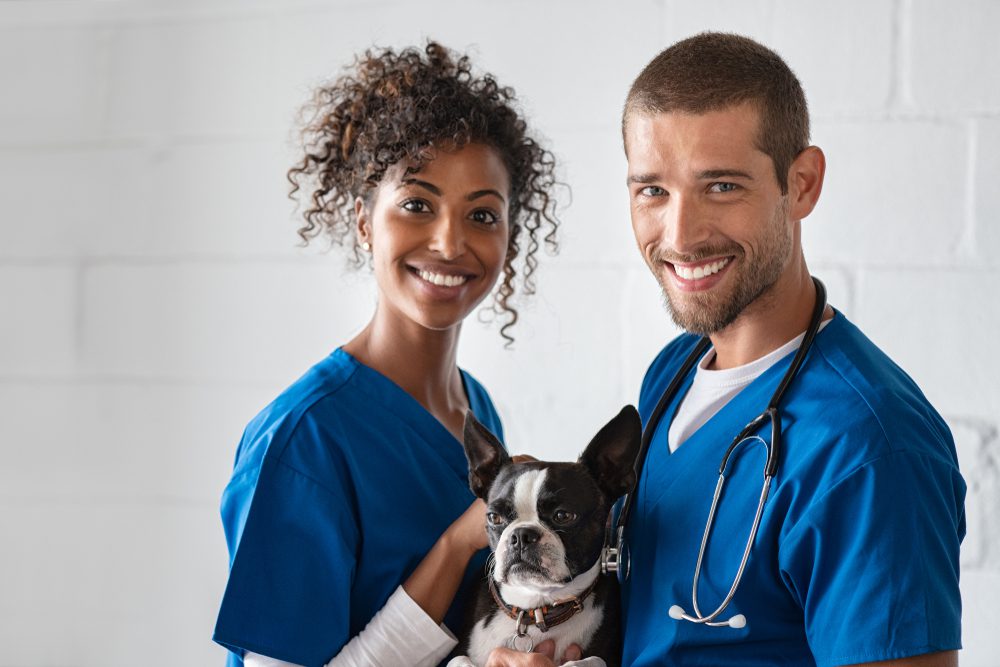 onlinevet Total Vet online vet