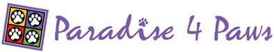 paradise 4 paws