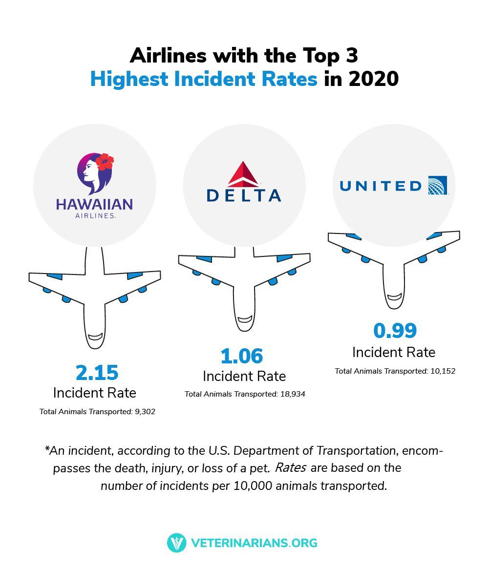 pet friendly airlines incident rates for top airlines 2021