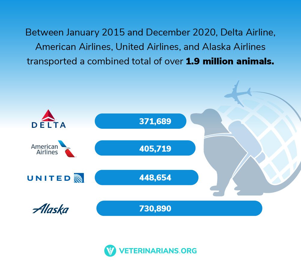 pet friendly airlines top carriers